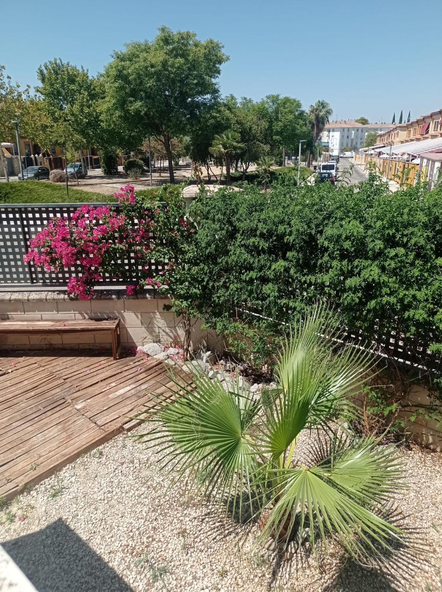 Apartamentos Turisticos Las Cinco Joyas Linares  Eksteriør billede